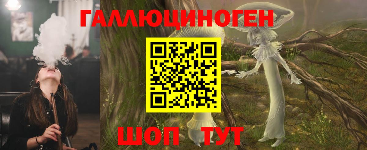 Галлюциногенные грибы Psilocybine cubensis  Псилоцибиновые грибы прущие грибы  Елец  Вход с VPN 